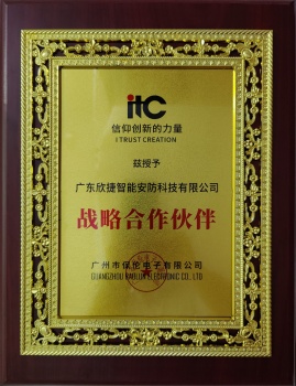 战略合作伙伴[广州保伦电子]